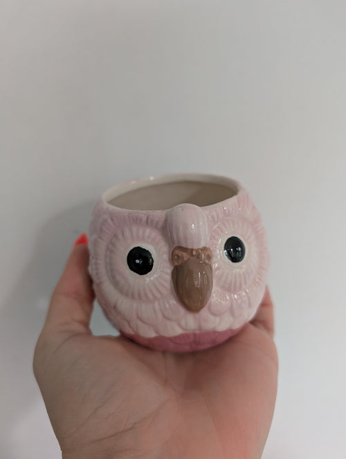 6cm Parrot Planter