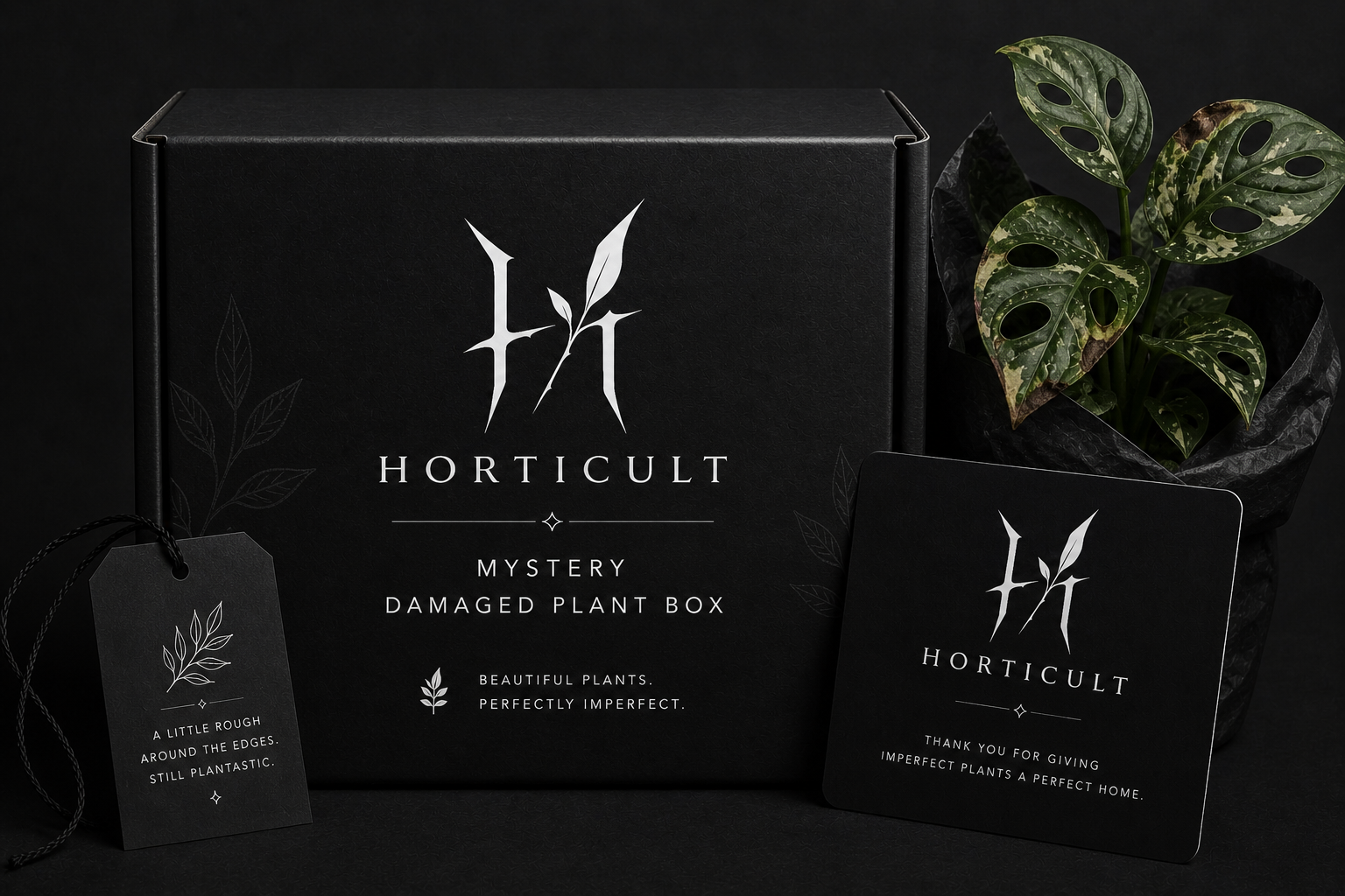 Mystery Damaged Plant Bundle