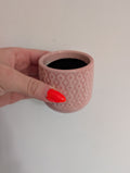 6cm Planter